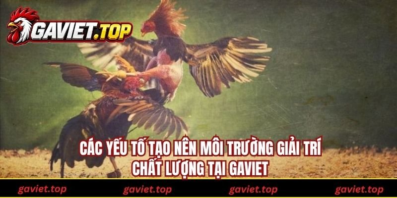 Các yếu tố tạo nên môi trường giải trí chất lượng tại Gaviet