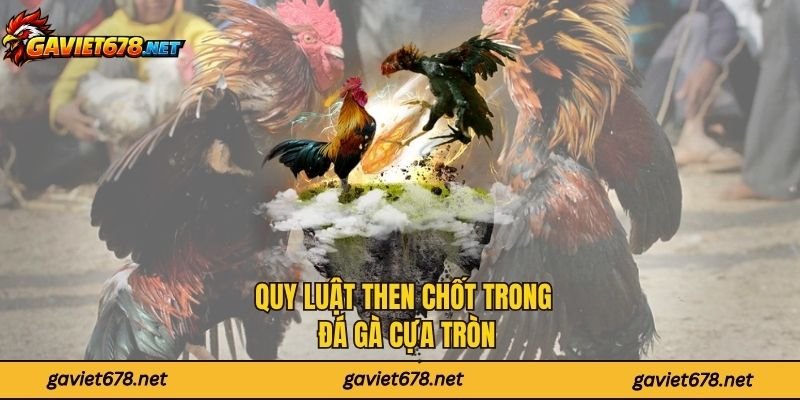 Quy luật then chốt trong đá gà cựa tròn