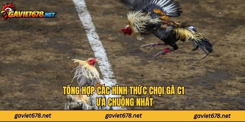 Tổng hợp các hình thức chọi gà C1 ưa chuộng nhất