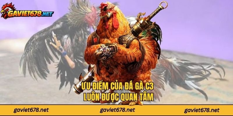 Ưu điểm của đá gà C3 luôn được quan tâm
